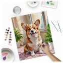 Glezna pēc skaitļiem 40x50 cm Massido Corgi suns Glezna pēc skaitļiem 40x50 cm Massido Corgi suns