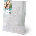 Glezna pēc skaitļiem 40x50 cm Massido Corgi suns Glezna pēc skaitļiem 40x50 cm Massido Corgi suns