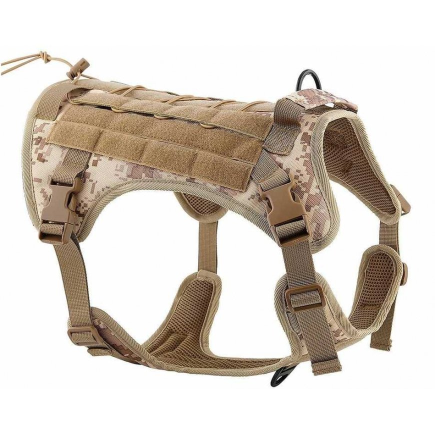Oem koerarihm TACTICAL suurus L pruun