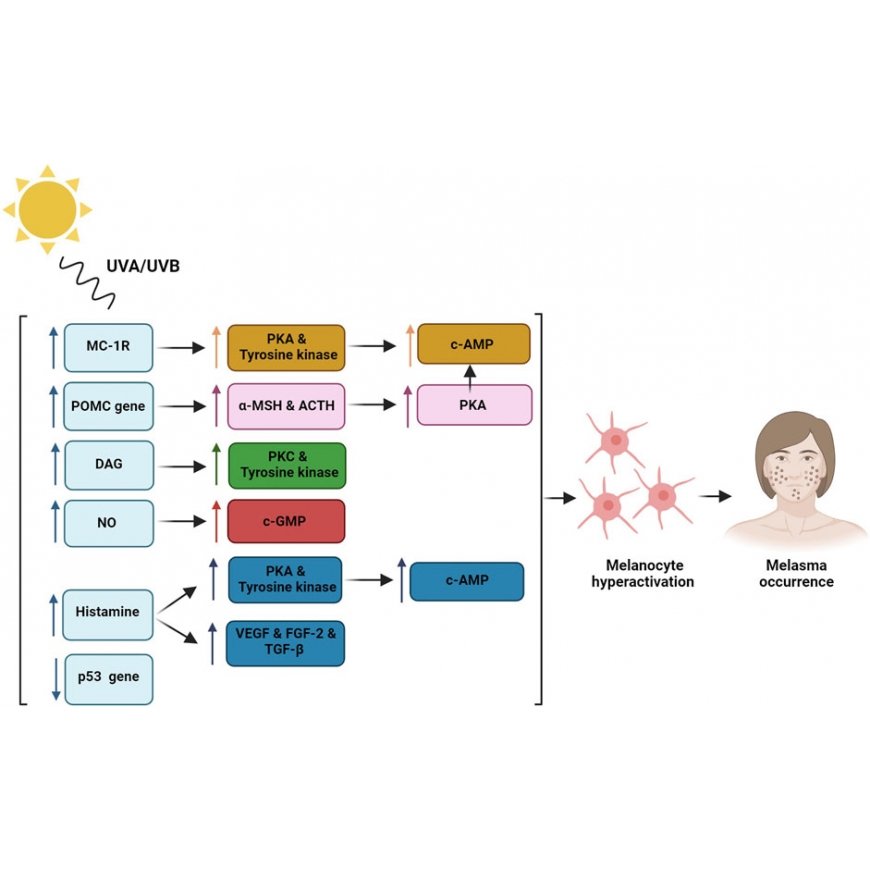 The Ordinary Alpha Arbutin 2% + HA, 60 ml