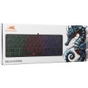 Клавиатура Baracuda BGK-04141 Seahorse Черный US