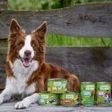 DOBRY PIES Jõhvikas amarantiga - märg koeratoit - 400g DOBRY PIES Jõhvikas amarantiga - märg koeratoit - 400g