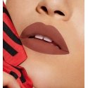 Dior Rouge 300 Nude Style Samet