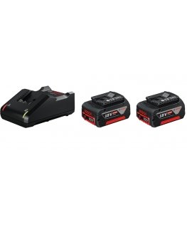 Bosch 1 600 A01 9S0 elektrinio įrankio baterija arba įkroviklis Akumuliatoriaus ir įkroviklio rinkinys