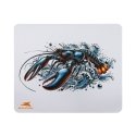 Baracuda BGMP-061 Homaar 300x250