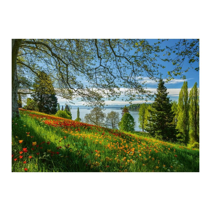 Schmidt Spiele 58967 puzle Kontūras puzle 1000 pcs Flora – 2