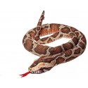 Беппе Бирмос питон 180 см Беппе Бирмос питон 180 см