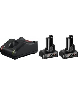 Bosch 1 600 A01 B20 elektrinio įrankio baterija arba įkroviklis Akumuliatoriaus ir įkroviklio rinkinys