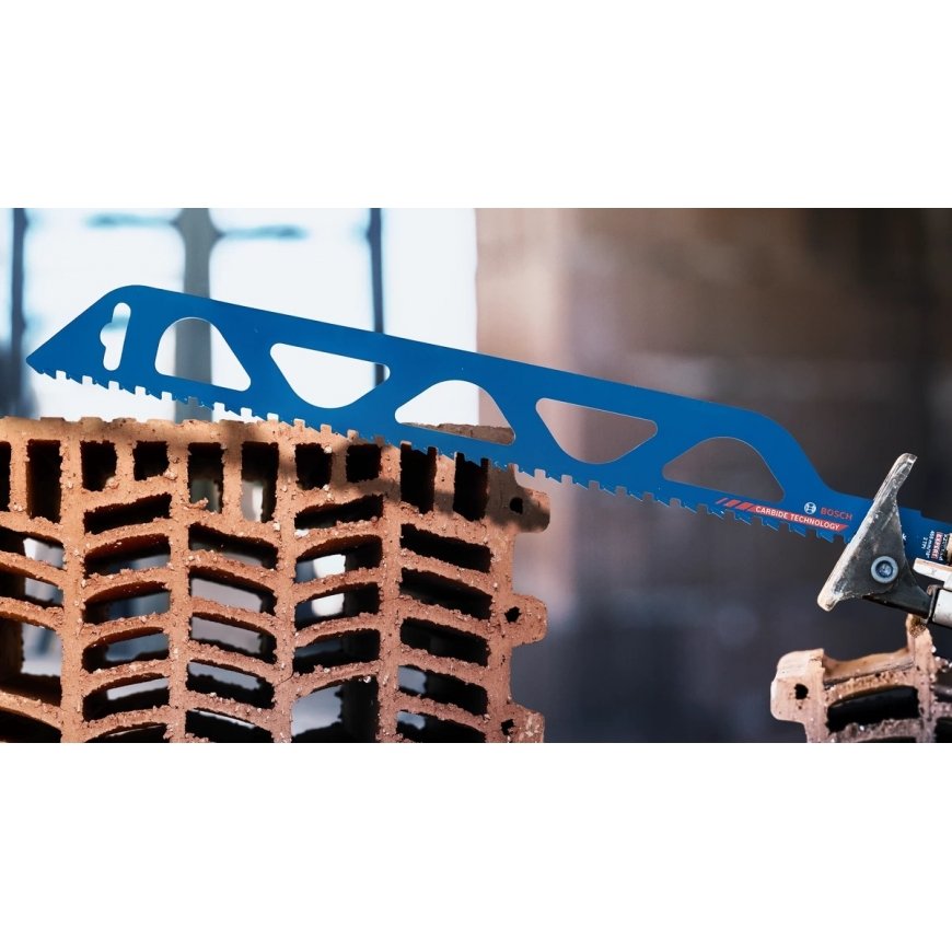 Bosch Expert S 2243 HM Piiksae tera Karbiid 1 tk – 4