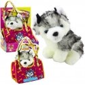 Lean Toys Pliušinis šuo Husky maišelyje Lean Toys Pliušinis šuo Husky maišelyje