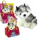 Lean Toys Plīša suns Husky maisiņā Lean Toys Plīša suns Husky maisiņā