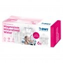 BWT 814136 water filter supply Water filter cartridge 6 pc(s) BWT 814136 water filter supply Water filter cartridge 6 pc(s)