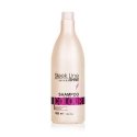 Stapiz Sleek Line Väri Shampoo Stapiz Sleek Line Väri Shampoo