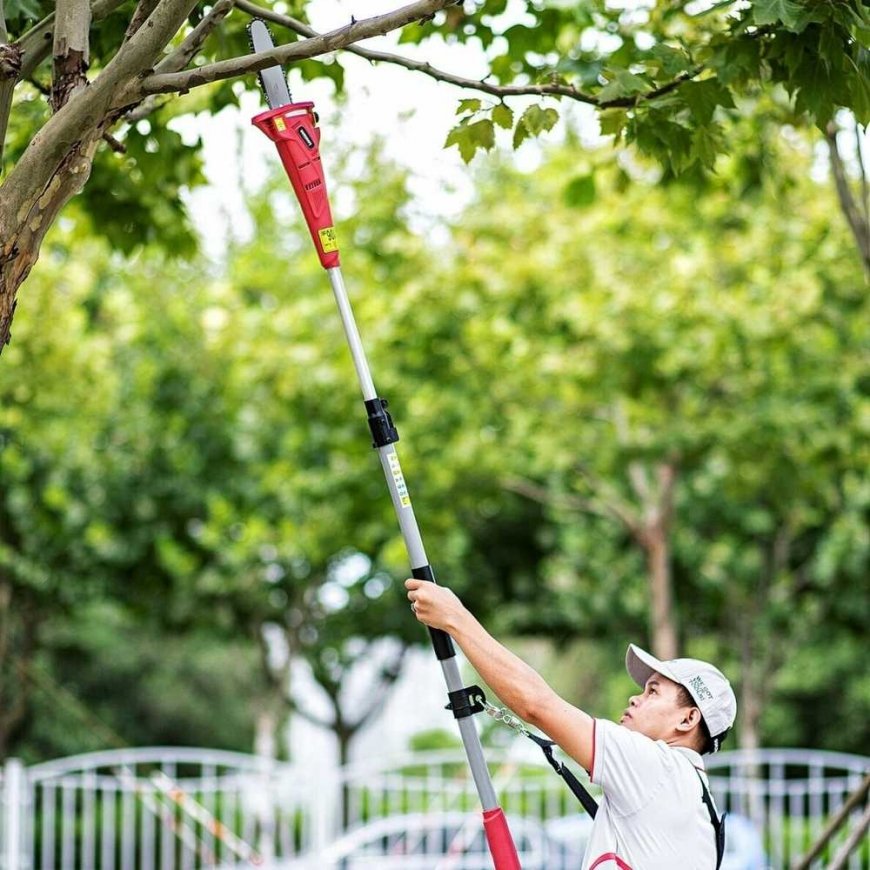 WORCRAFT 20V LI-ION Cordless Telescopic Pruning Saw – 5