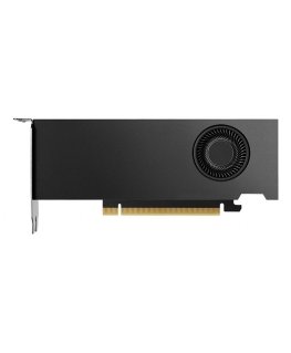 Nvidia RTX 2000 Ada 16 GB GDDR6