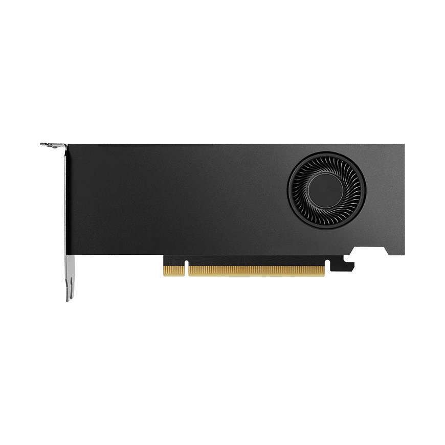 Nvidia RTX 2000 Ada 16 GB