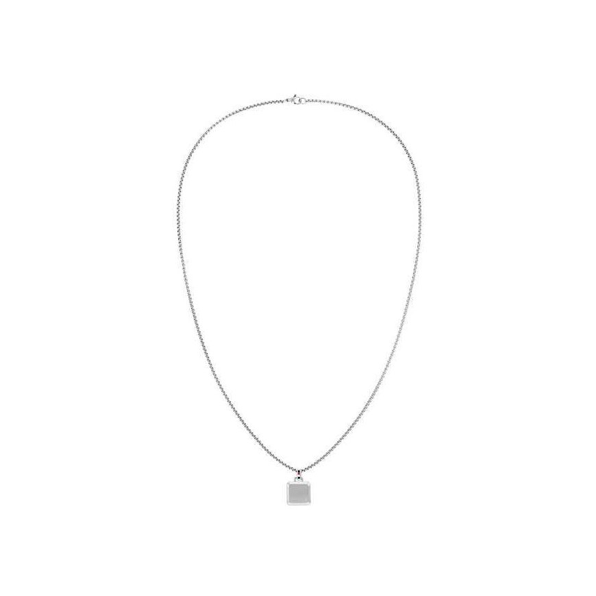 Tommy Hilfiger minimalistlik teras kaelakee meestele 2790543