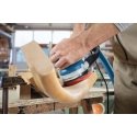 Bosch GET 55-125 Professional Ekstsentriklihvmasin 7800 RPM 15600 OPM Must, Sinine 550 W