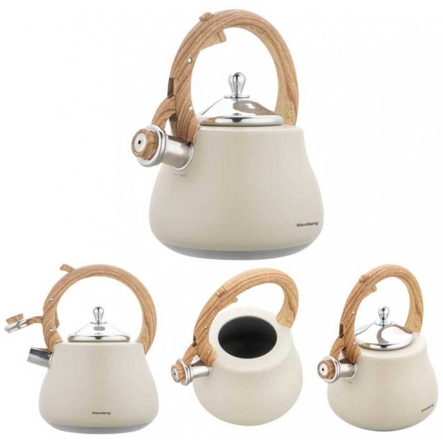 Kettle with Whistle 2.8 L Klausberg FE602 – 3