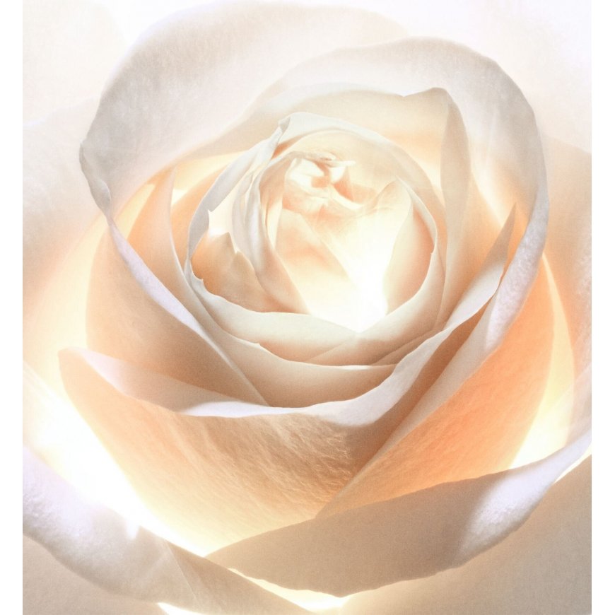 Dior Prestige Light-In-White Crème 50ml – 2