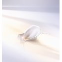 Dior Prestige Light-In-White Päeva- ja öökreem All ages 50 ml Dior Prestige Light-In-White Päeva- ja öökreem All ages 50 ml