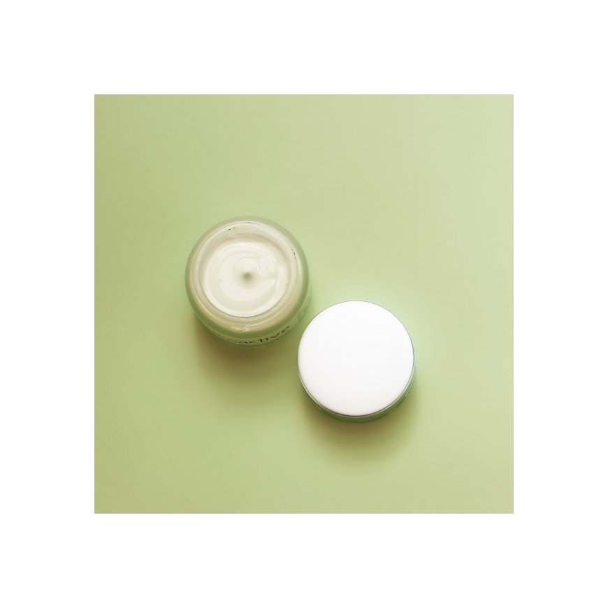Diet Esthetic Snake Active Cream Dieninis ir naktinis kremas 50 ml – 3