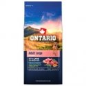 Сухой корм для собак – Ontario Adult Large, ягненок и коричневый рис Сухой корм для собак – Ontario Adult Large, ягненок и коричневый рис