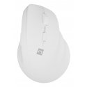 NATEC Crake 2 hiir Universaalne Parempoolne RF juhtmeta ühendus + Bluetooth Optiline 2400 DPI NATEC Crake 2 hiir Universaalne Parempoolne RF juhtmeta ühendus + Bluetooth Optiline 2400 DPI