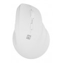 NATEC Crake 2 kompiuterio pelė Universalus Dešinės rankos RD belaidis ryšys + „Bluetooth“ Optinis 24 NATEC Crake 2 kompiuterio pelė Universalus Dešinės rankos RD belaidis ryšys + „Bluetooth“ Optinis 24