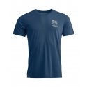 Dynafit Transalper Graphic S/S Shirt - sage S Dynafit Transalper Graphic S/S Shirt - sage S