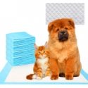 Absorbent pet pads 10 pcs. 60x60cm Absorbent pet pads 10 pcs. 60x60cm