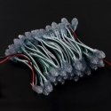 Pixel chain - 50x 5mm green LED