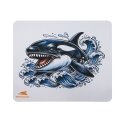 Baracuda BGMP-071 Orca 300x250