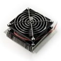 Oem radiators ar 92mm ventilatoru Peltier 40mm elementam Oem radiators ar 92mm ventilatoru Peltier 40mm elementam