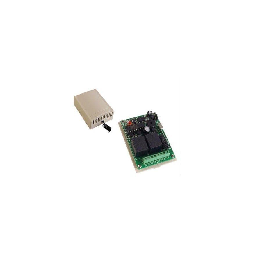 Oem 2 kanalų relė 12VDC 433Mhz – 2