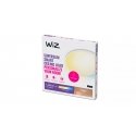 WiZ Superslim Ceiling 14 W WiZ Superslim Ceiling 14 W