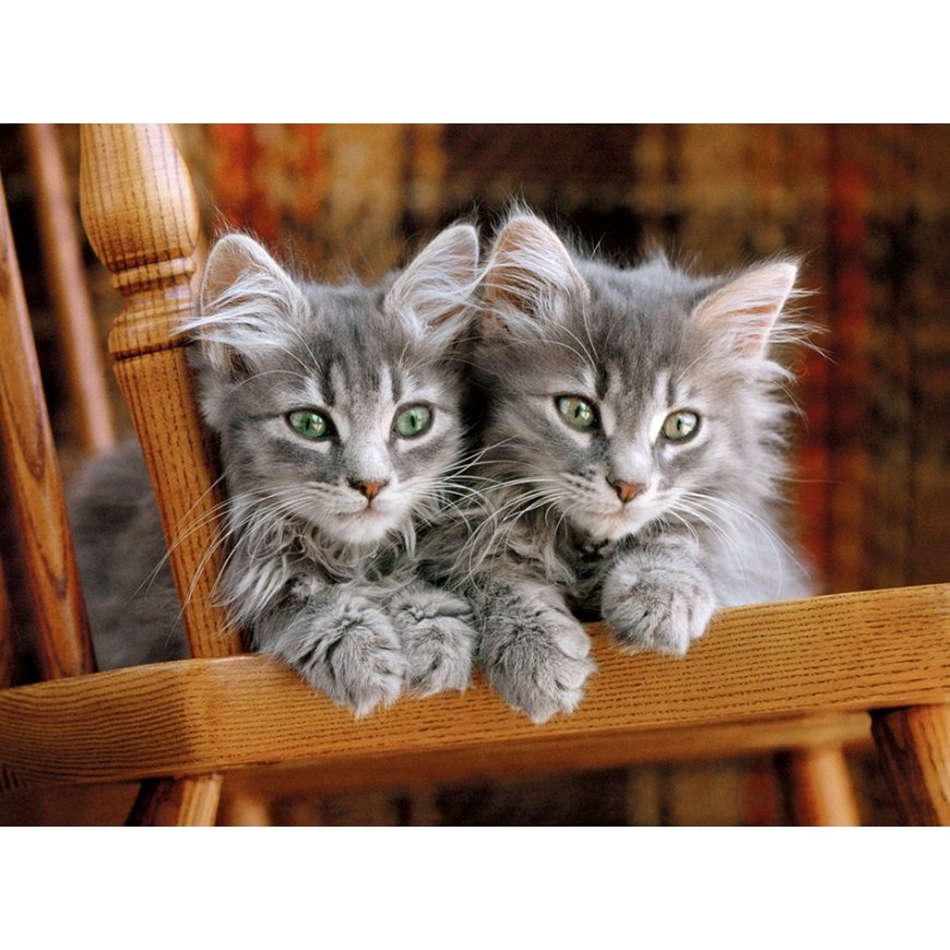 Clementoni Kittens Puzle 500 pcs Dzīvnieki – 2
