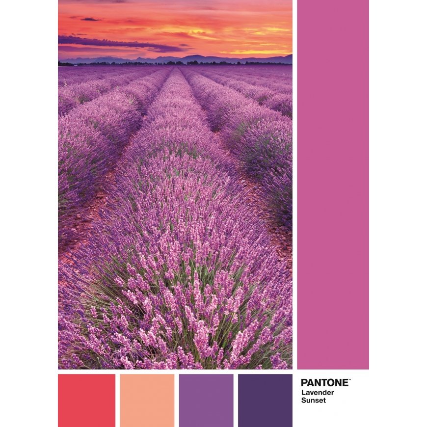 Clementoni 39493 pusle