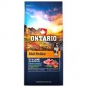 Сухой корм для собак - Ontario Adult Medium Lamb and Brown Rice Сухой корм для собак - Ontario Adult Medium Lamb and Brown Rice