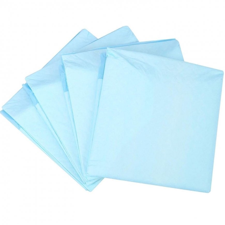 Vigo Pet Super‑absorbējoši, vienreizlietojami apmācības paliktņi – 2