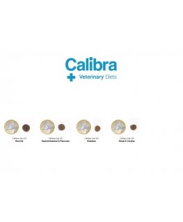 CALIBRA VD kissa struviitti 2kg