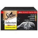 Sheba 4770608257835 kissojen kosteamuona 85 g Sheba 4770608257835 kissojen kosteamuona 85 g