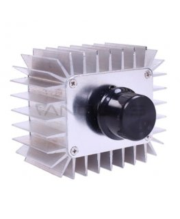 Oem AC mootoriregulaator SCR 220V 5000W