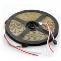 OEM RGB LED strip WS2811 - digital, addressable - IP65 48 LEDs/m, 12W/m, 12V - 5m OEM RGB LED strip WS2811 - digital, addressable - IP65 48 LEDs/m, 12W/m, 12V - 5m