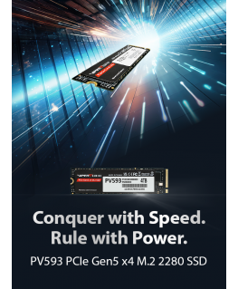 SSD 4TB VIPER PV593 M.2 2280 PCIe Gen5 x4 14000/13000MB/s