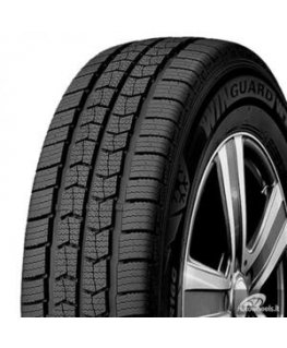 Firestone Padangos VANHAWK 2 TALV EVO 112/110 R ( C A B 73dB )
