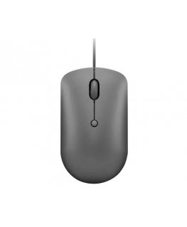 Lenovo 540 kompiuterio pelė Biuras Abiems rankoms C tipo USB Optinis