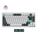 Keychron Q1 HE klaviatūra Universalus USB + RF Wireless + Bluetooth Balta Keychron Q1 HE klaviatūra Universalus USB + RF Wireless + Bluetooth Balta