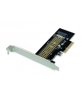 Conceptronic EMRICK05B sąsajos plokštė / adapteris Vidinis M.2
