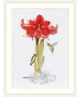 Merejka Amaryllis SK202